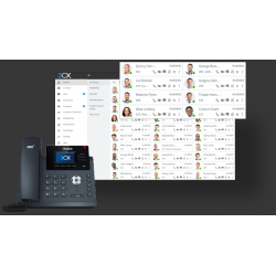 3CX Profesjonal wirtualna programowa centrala telefoniczna VoIP